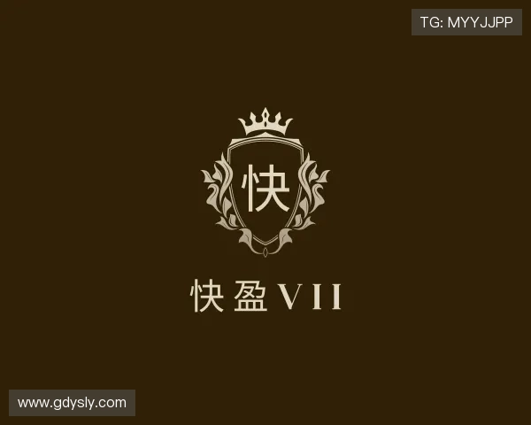 了解快盈VII